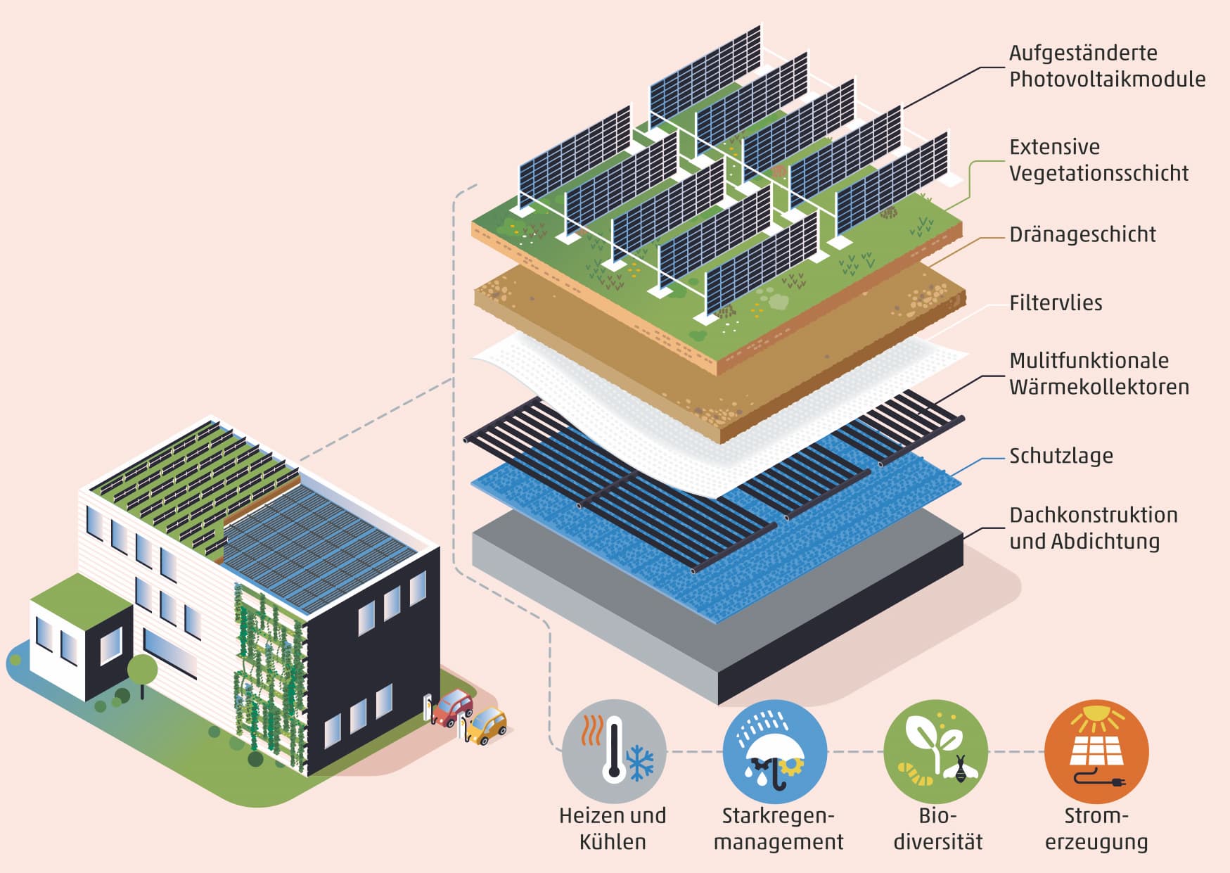 Schematischer Dachaufbau mit Photovoltaik, Begrünung und Wärmekollektoren in übereinanderliegenden Schichten.